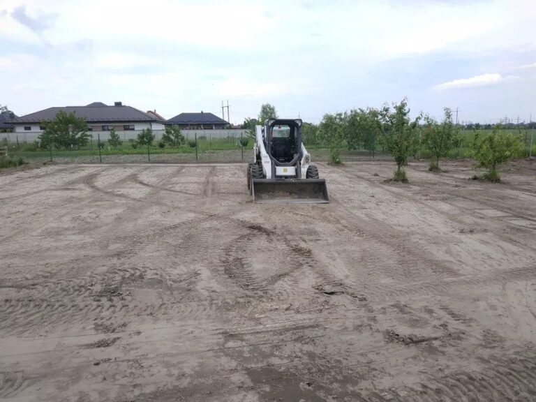 bobcat 768x576